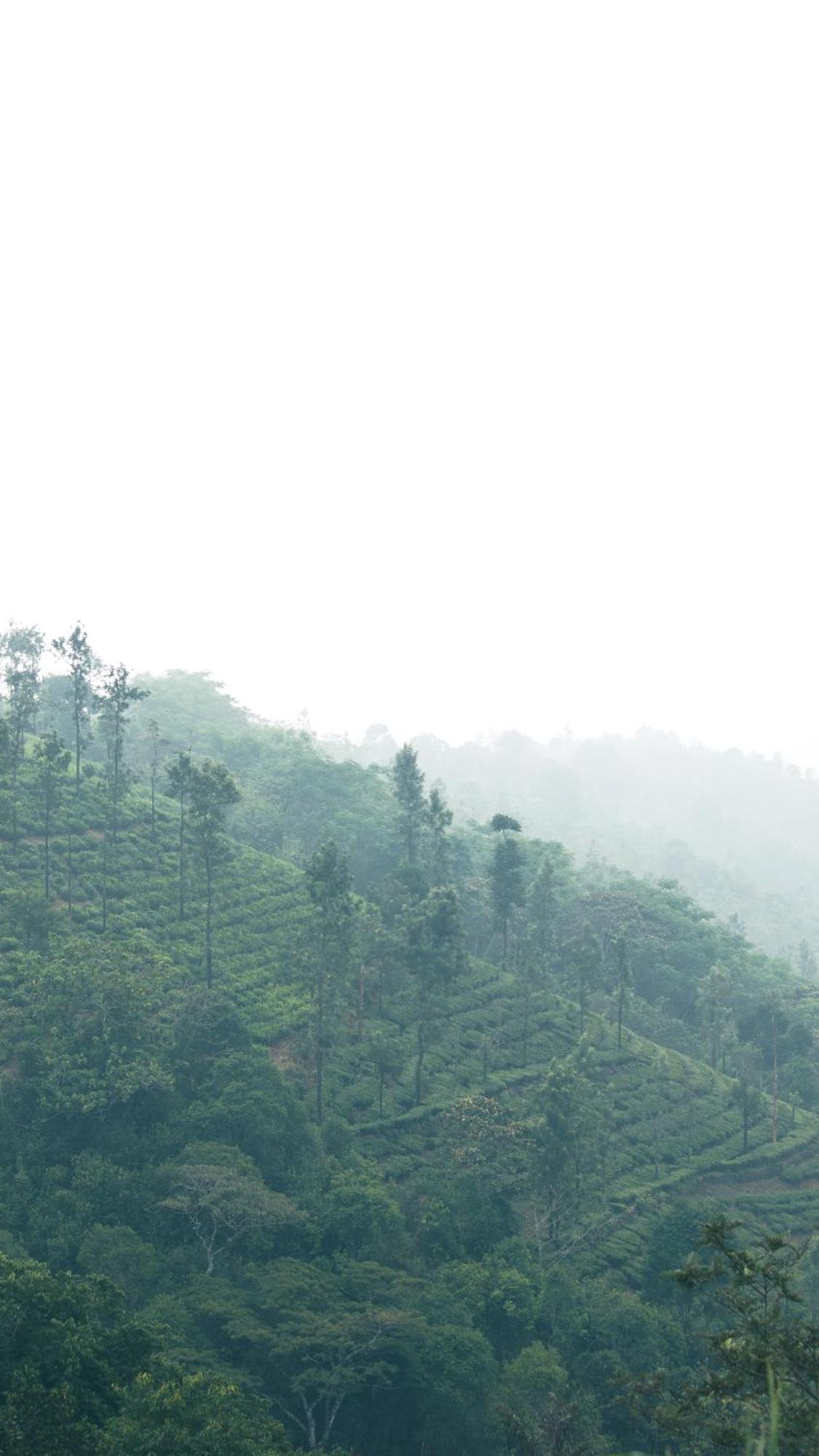 Casa Oliv, Vagamon Villa Bagian luar foto